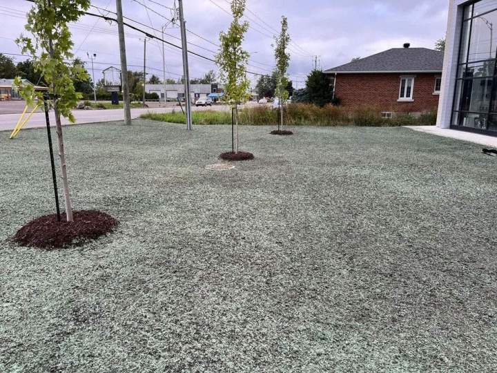 ensemencement pour entreprise Saint-Isidore-De-Laprairie