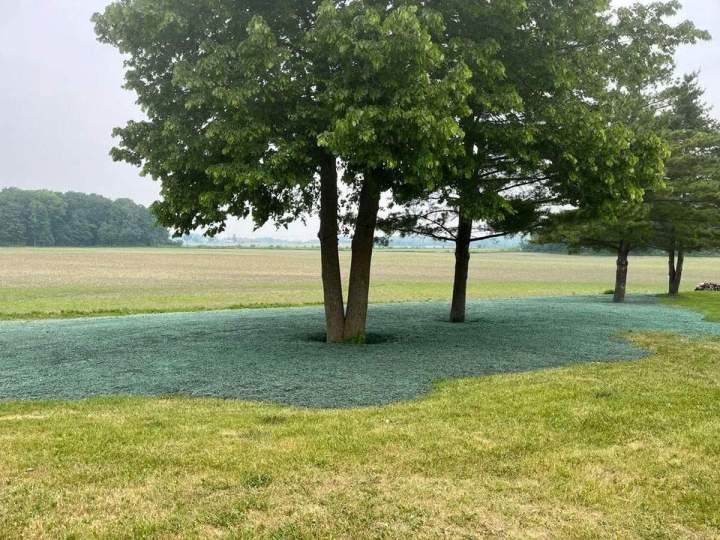 Hydro-ensemencement municipal Saint-Isidore-De-Laprairie