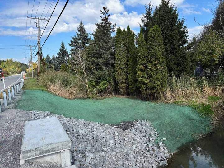 Une option adaptée pour le sol des sites industriels