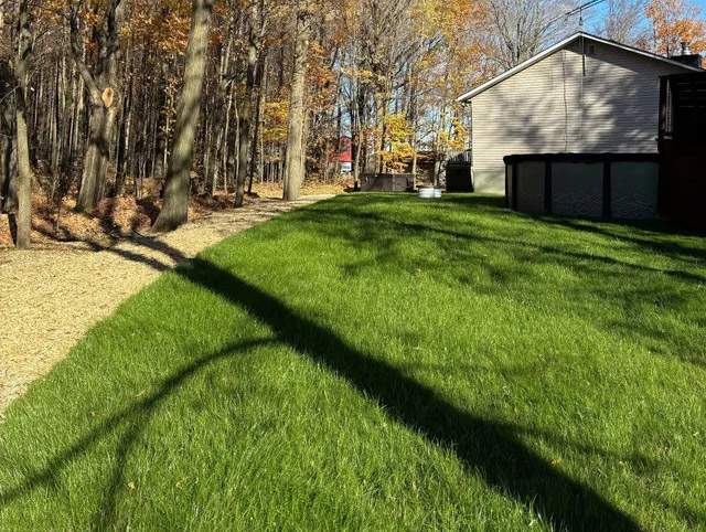 Gazon obtenu par hydro-ensemencement Saint-Isidore-De-Laprairie